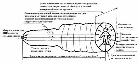Энергетические составляющие