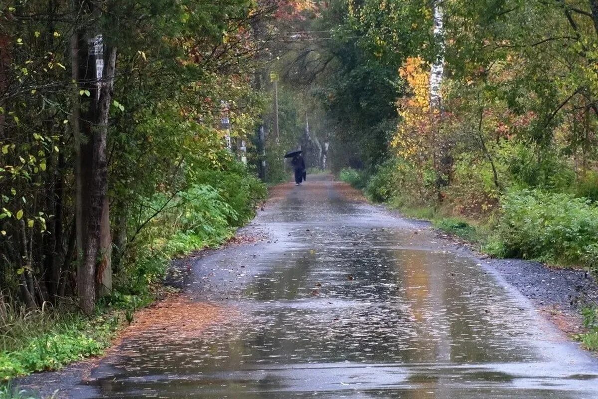 Дождливая осень. Осень дождь. Дождливый пейзаж. Осень непогода дождь.