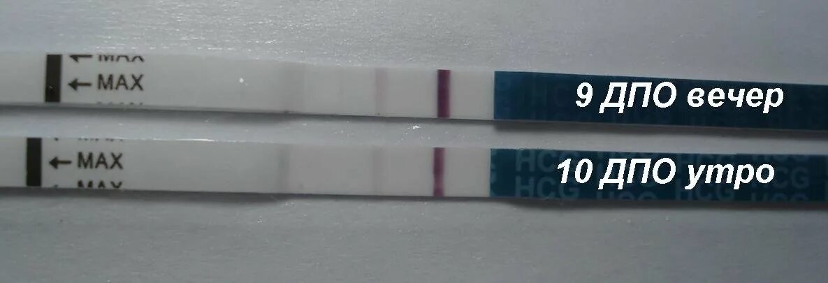 Ищу контрольную работу. Школьники пишут контрольную работу. Тесты. Экзамены в начальной школе. Контрольная в школе.