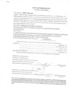 Срок порубочного билета