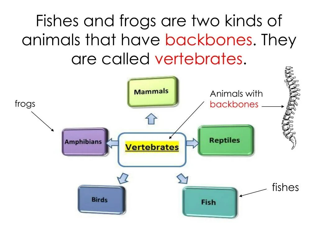 To have no backbone. To have no backbone