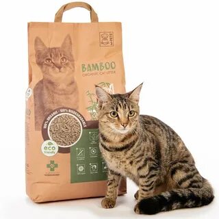 Бамбуковая кошка
