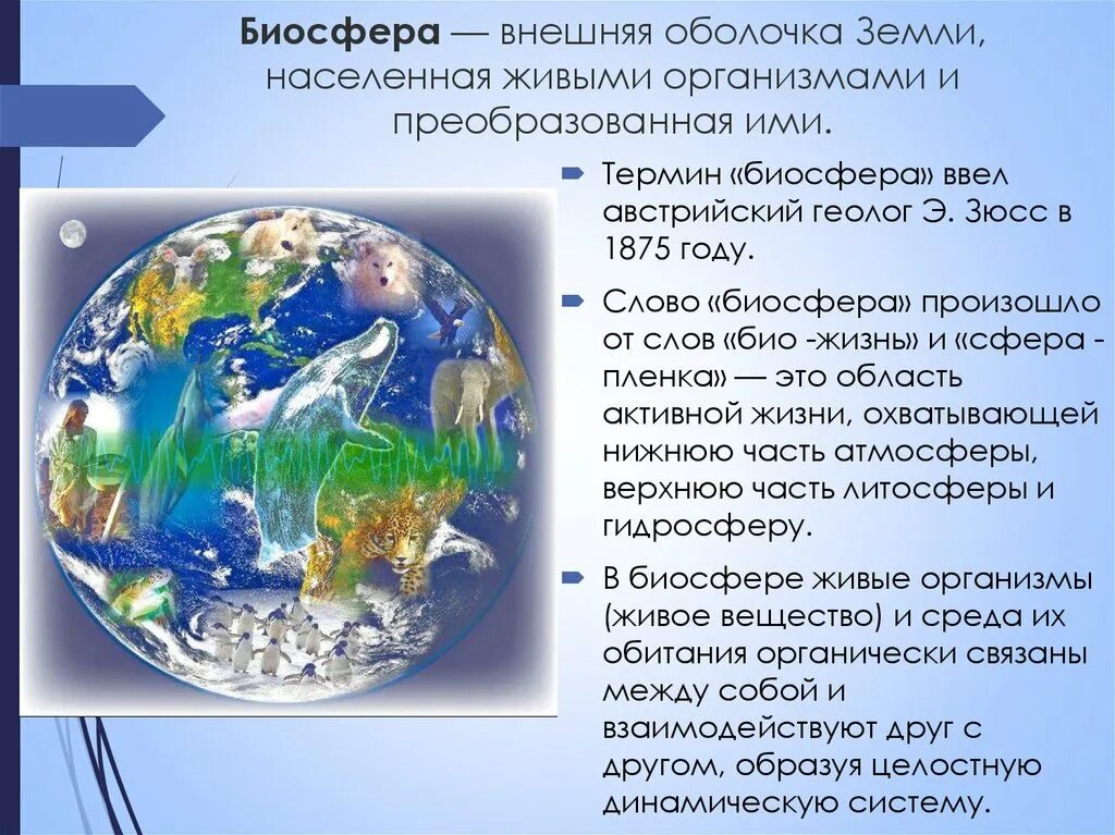 Биосфера. Биосфера земная оболочка. Биосфера Живая оболочка земли. Биосфера облачко земли. Влияние человека на оболочку земли