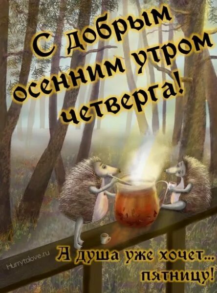 Доброго четверга осень. Доброе осеннее утро четверга. Открытки с добрым утром четверга осенние. С добрым осенним утром четверга. Доброе утро четверг осень.