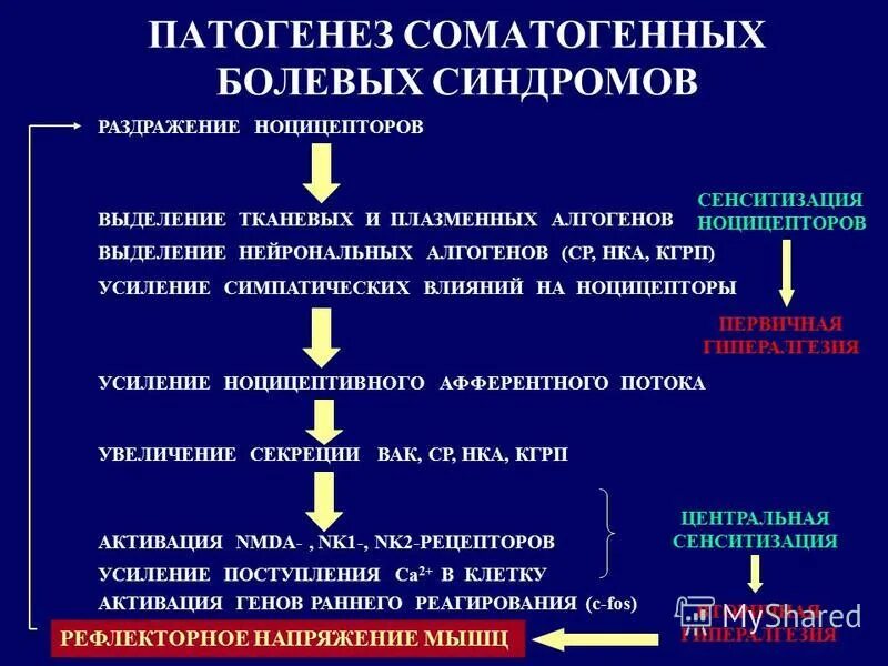 механизм развития боли патофизиология. патогенез болевого синдрома. патогенез болевого синдрома. этиология, патогенез. патогенетические механизмы шока.