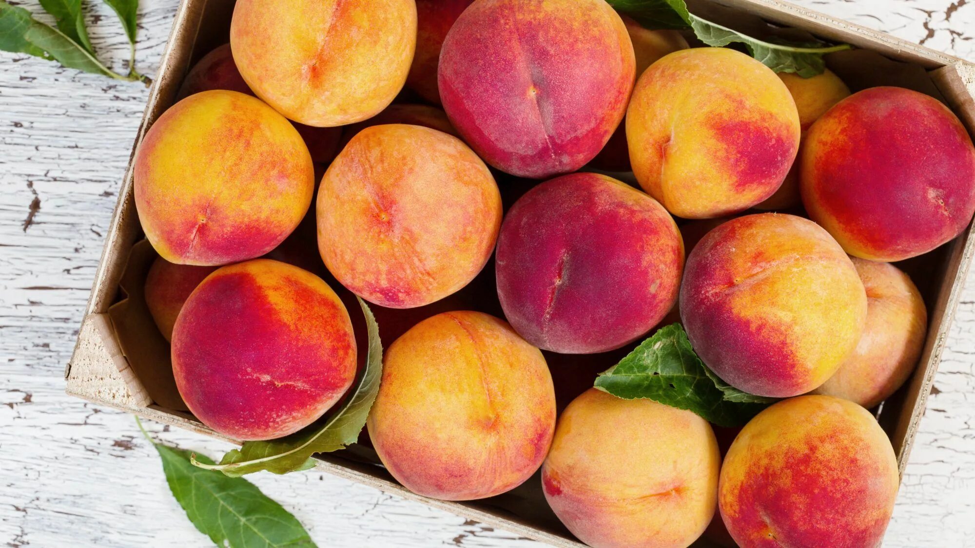 Siera peach. Нектарин турецкий. Персик инжирный нектарин. Siera peach. Персики плоские.