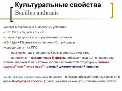 B свойства