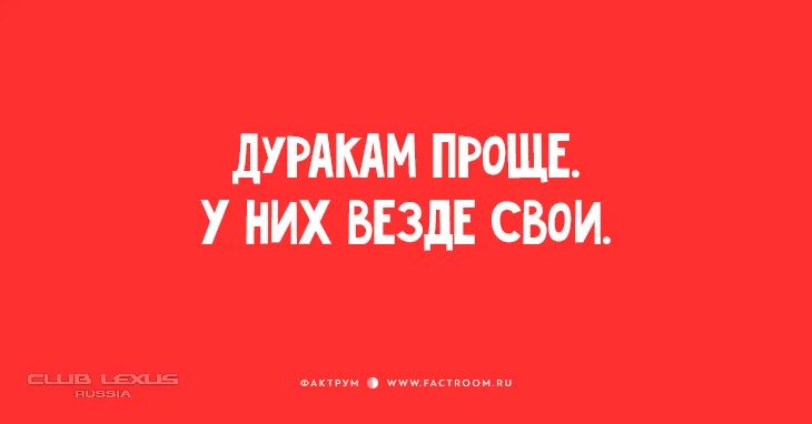Дурак юмор. Они просто дураки. Они просто дураки. Они просто дураки. Умный юмор в картинках.