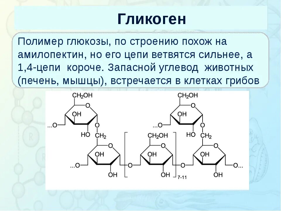 Запасной углевод в клетках печени. Гликоген формула химическая строение. Гликоген формула и структура. Гликоген строение. Строение гликогена формула.