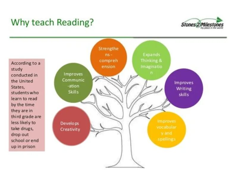 Writing skills презентация. Reading презентация. Types of reading in teaching English. Methods of reading in English. What did our teacher