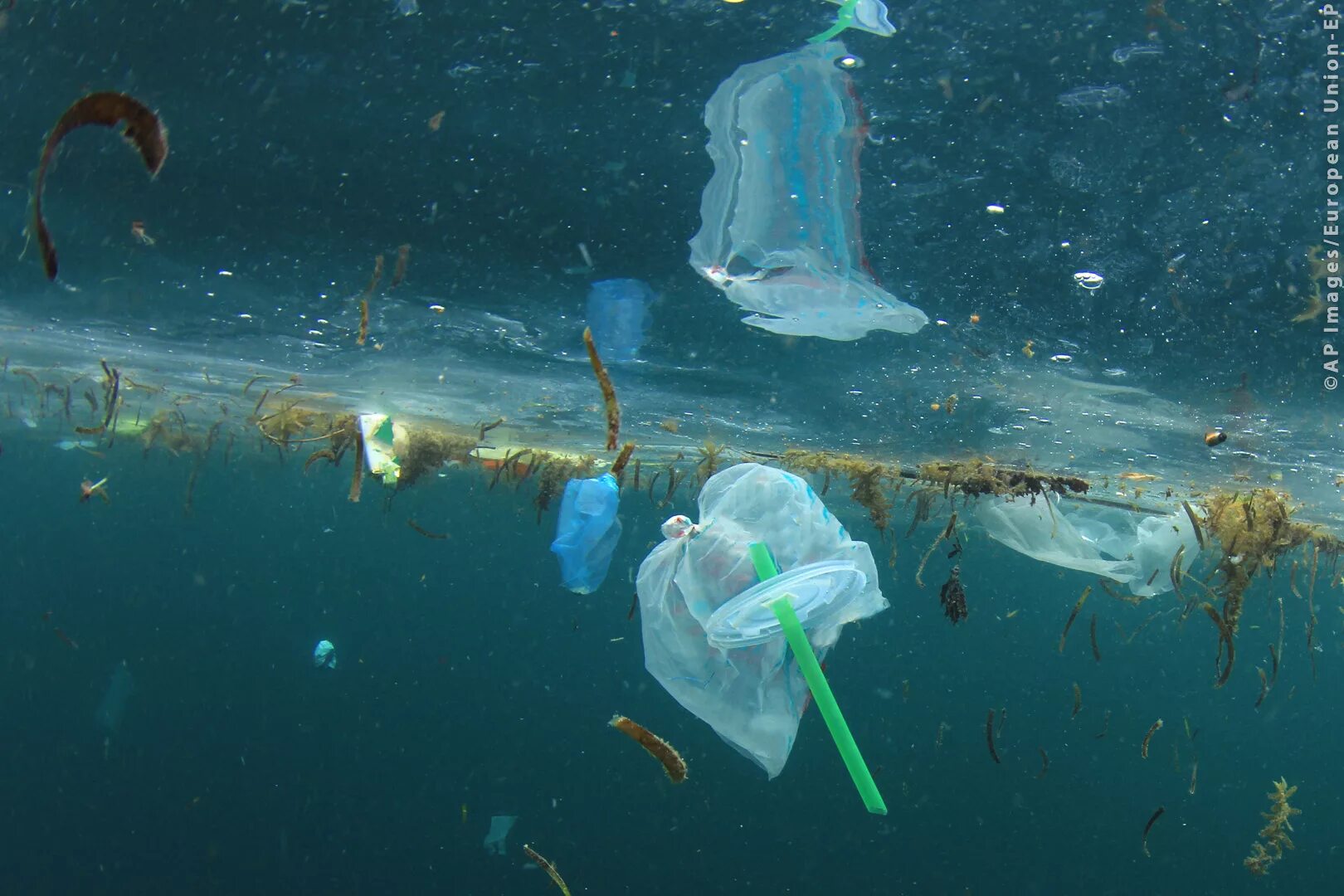Пластик в океане. Пластик в мировом океане. Пластиковые трубочки в океане. Экология морей и океанов. На дне воздушного океана