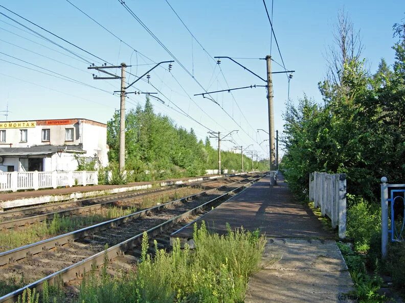 Станция ручьи СПБ. Ж.Д. станция Парнас. Парнас (Железнодорожная станция). ЖД станция ручьи.