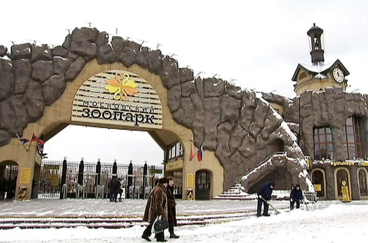 Зоопарк как работает в новогодние праздники. Московский зоопарк зима. московский зоопарк москва зимой. московский зоопарк павильоны. московский зоопарк зимний режим.