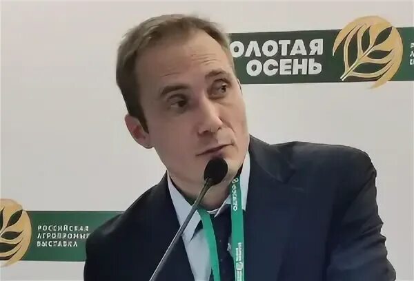 Центр кулик. Центр кулик