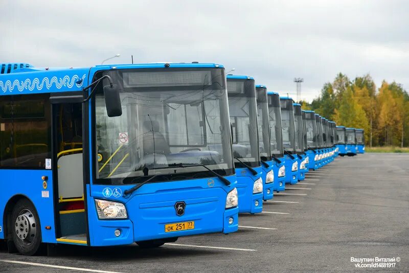 Покажи синий автобус. Паз 4292. лиаз 4292 низкопольный. лиаз-4292 кузов. синий автобус лиаз 4292.