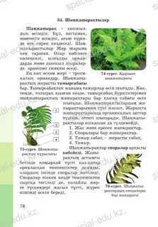 Пьер Вудман мем