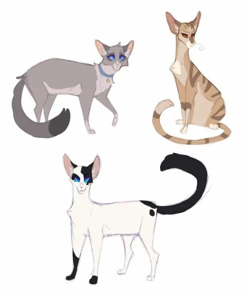 Коты воители songsteps кот. Коты воители songsteps. songsteps warrior cats семья. коты воители songsteps семьи.