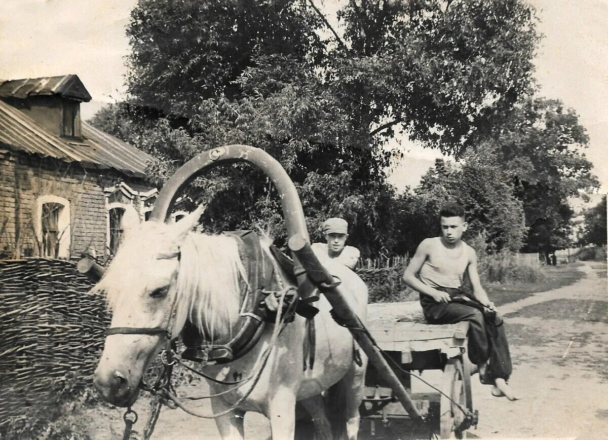 Village 60. Деревня 1960 годов. Деревня 60-е годы. Жизнь в деревне в 1960 год. Село 1960 год.