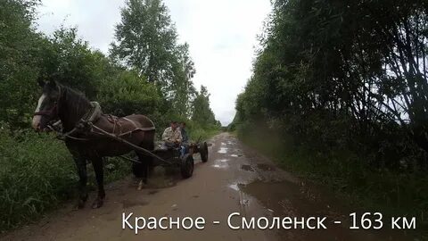 Погода красный смоленской на 10 дней