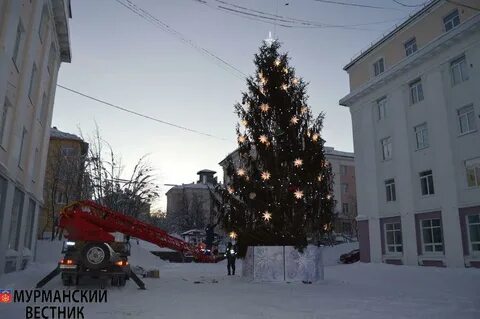 Елка в кировске