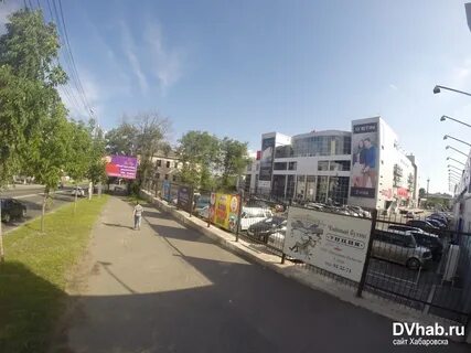 Ветки хабаровск