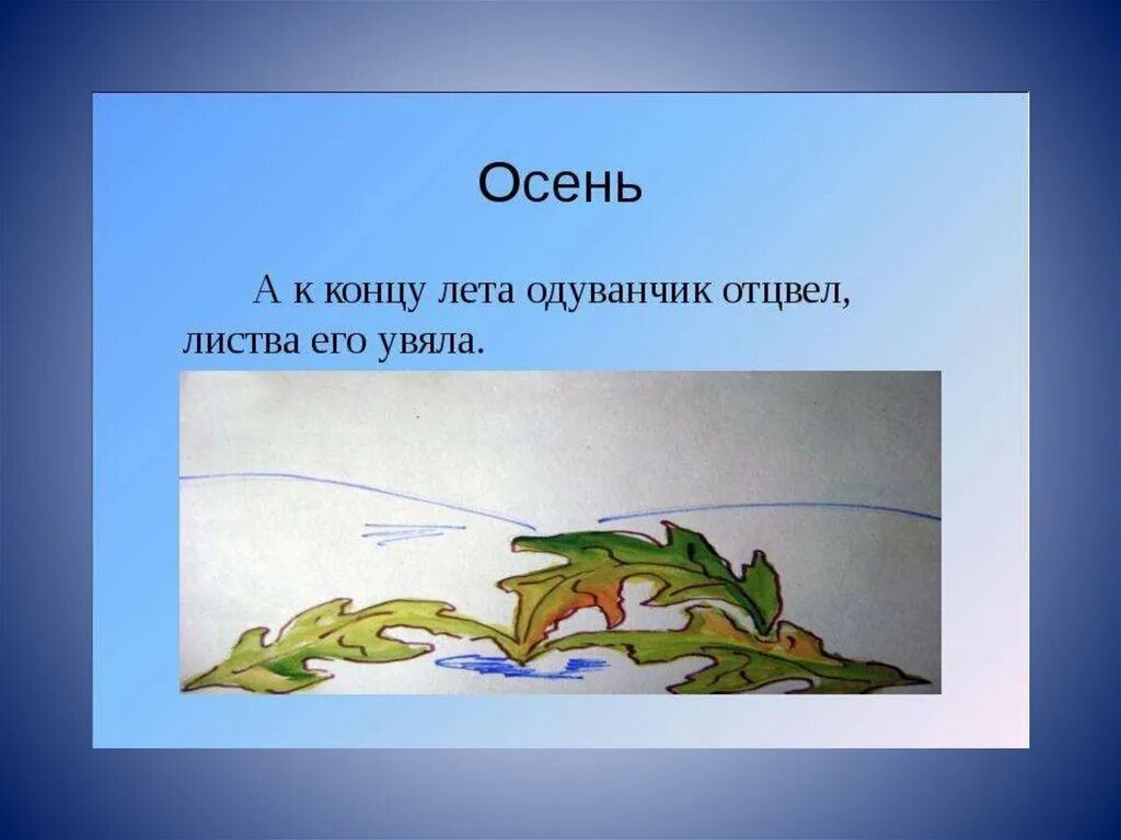 Одуванчик и дождь сладков читать. Н сладков одуванчик и дождь. рассказ сладкова одуванчик и дождь.