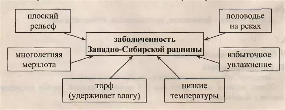 Причина сильной заболоченности. Причины заболоченности Западной Сибири схема. Причины заболоченности Западной Сибири равнины. Причины заболоченности Западно-сибирской. Схема заболоченности Западно-сибирской равнины.