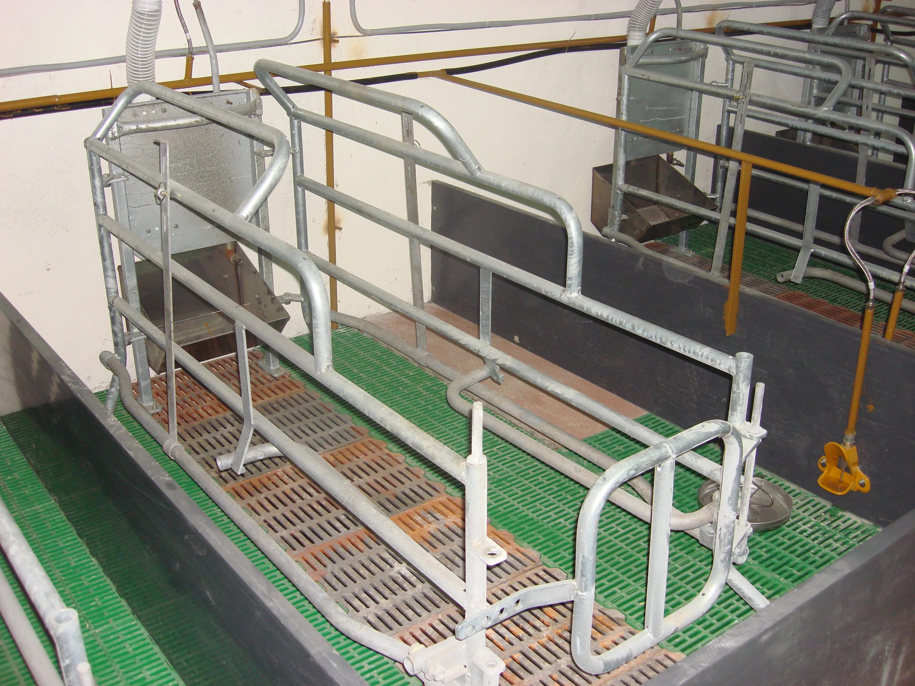 станки для опороса свиноматок. станки для опороса свиноматок. станок осм-60 для свиноматок. станок для свиноматок, тип сси-2. станок для свиноматок, тип сси-2.