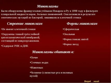Таксономия микоплазм