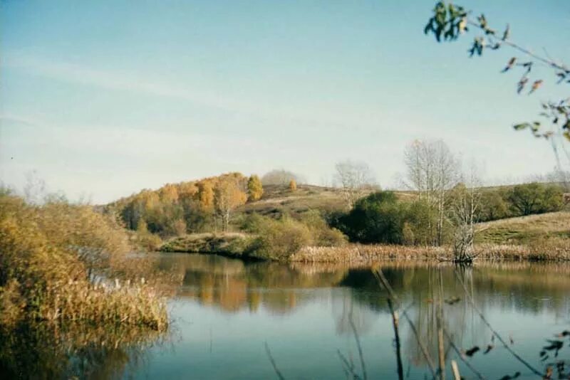 Целинный телефон алтайский край. Ложкино Целинный район Алтайский край. Село Ложкино Целинный район Алтайский край. Природа Целинного района Алтайского края. Еланда Алтайский край Целинный район.