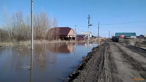 Уровень реки алей рубцовск
