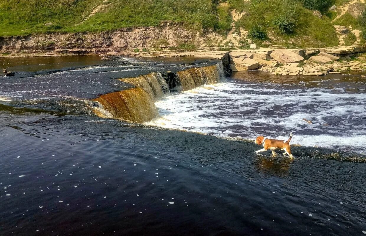 Большой тосненский водопад. Тосно водопад. Водопад Тосно Ленинградская. Тосненский (Гертовский) водопад,.