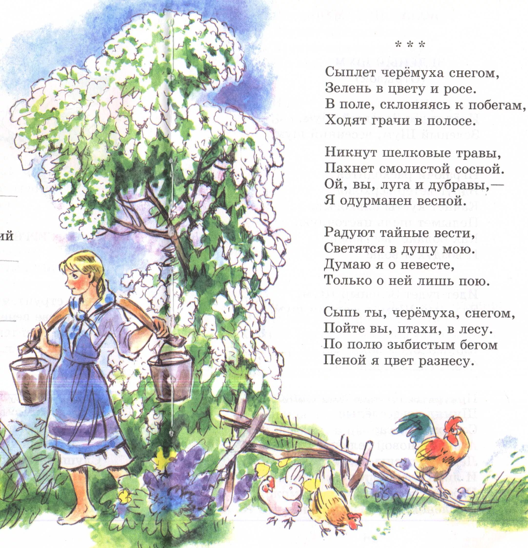 Стихотворение есенина сыплет. Есенин с.а. "стихи детям". Стихотворение Есенина для детей. Иллюстрации к стихам о природе. Стихи Есенина для детей.