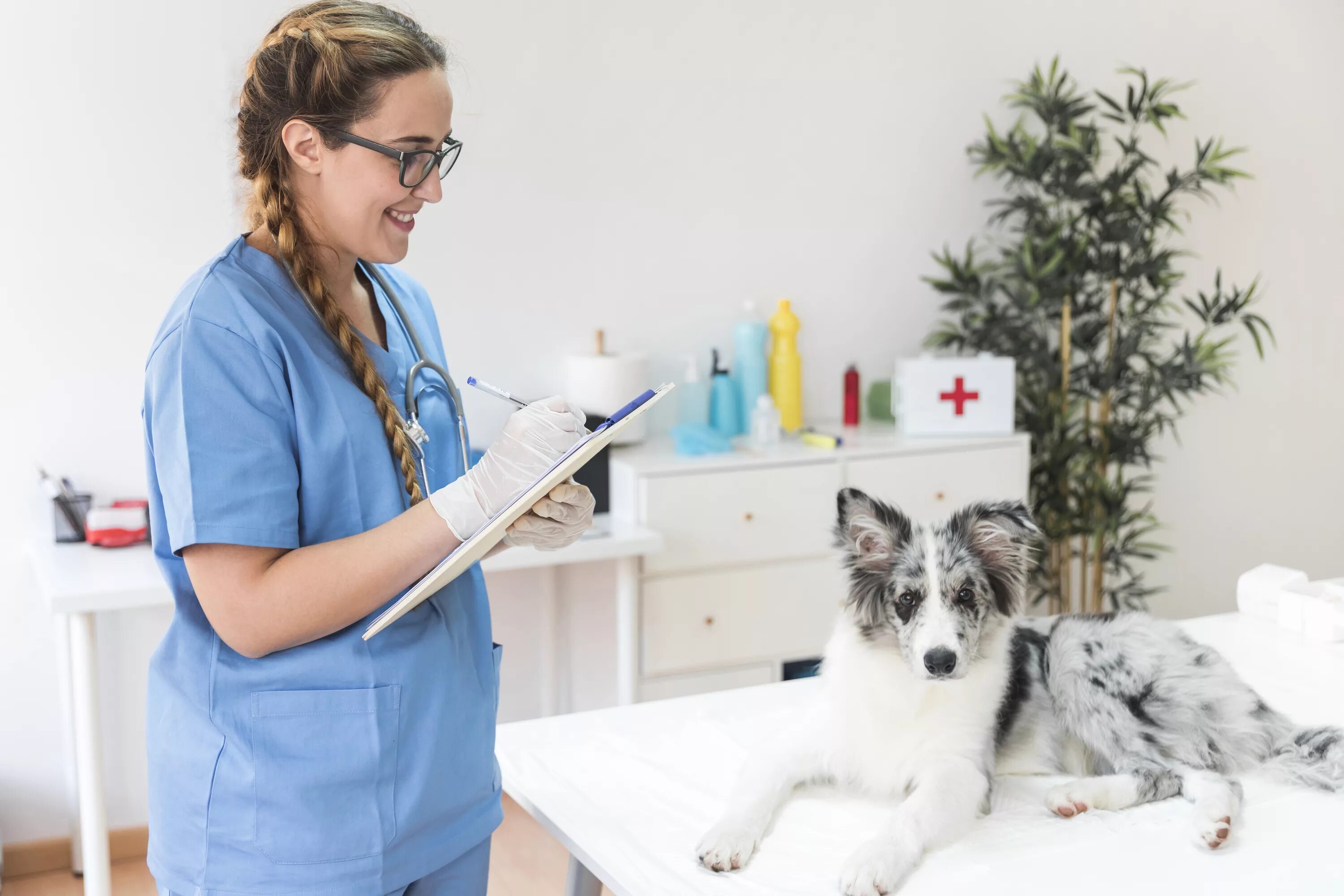 ветеринарный центр вирион. ветеринарная клиника вет центр. ветеринар аллерголог. Christie ветеринар 2005. спбгавм ветеринарная клиника.