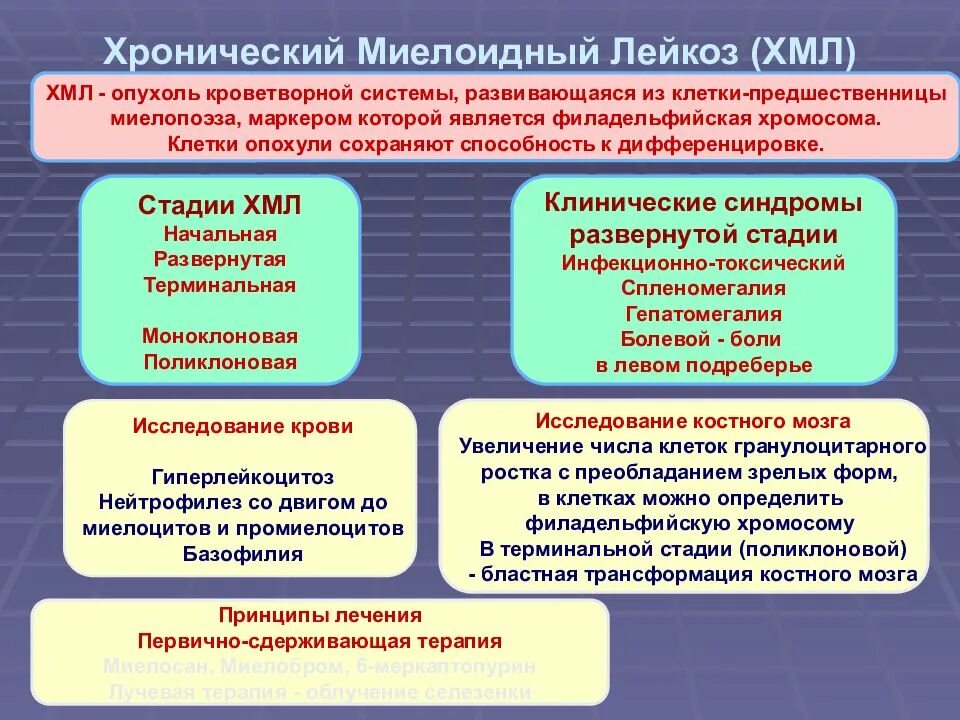 Хронический миелоидный лейкоз. Хронический миелоидный лейкоз клинические рекомендации. Хронический миелоцитарный лейкоз (ХМЛ). ХМЛ – хронический миелобластный лейкоз. Хронический лимфолейкоз рекомендации