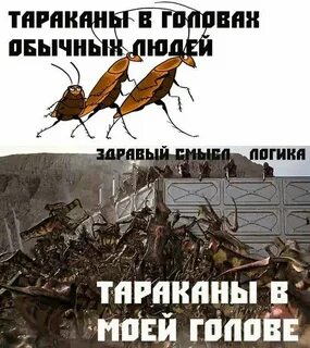 Таракан мем