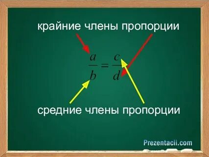 Укажите правильные пропорции