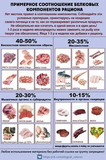 Соотношение мясо и костей