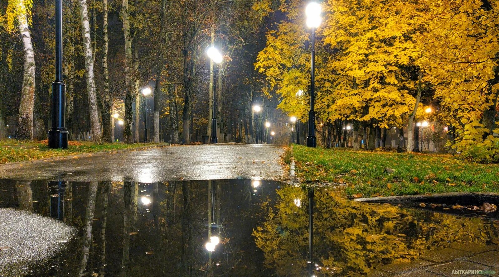 Парк Лыткарино. Лыткарино ночью. Солнцево. Осень в Лыткарино. Погода в москве солнцево