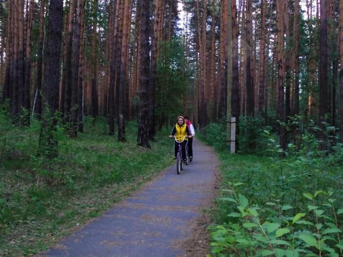 Тропа здоровья березовский. Березовский велодорожка. Тропа здоровья свердловская область. Берёзовский велодорожка свердловская область. Тропа здоровья свердловская область.