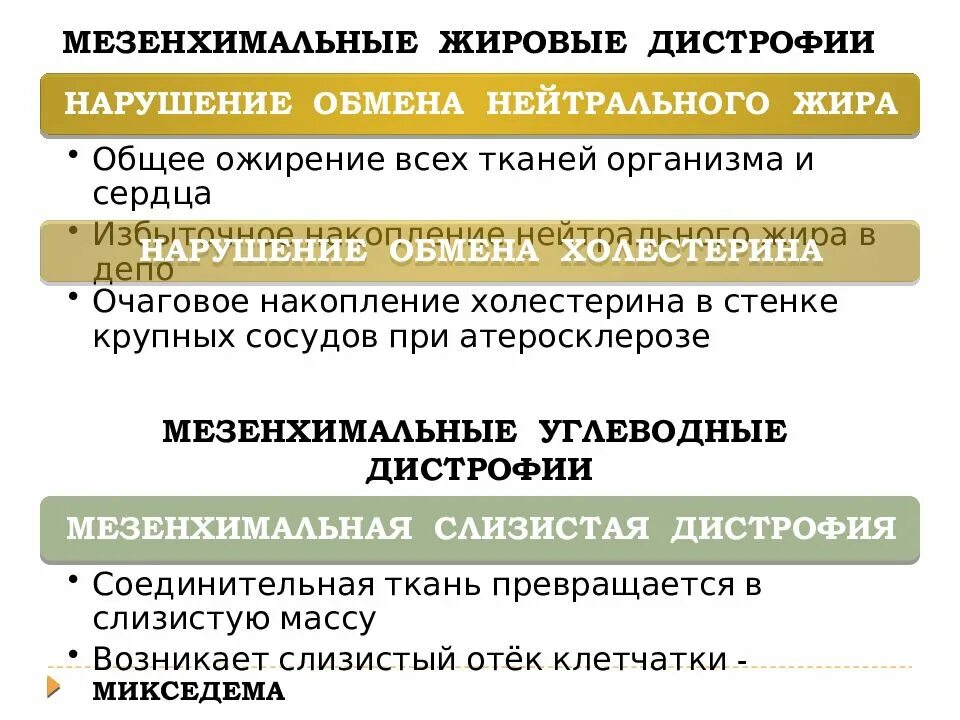 Белковые мезенхимальные дистрофии. Мезенхимальные жировые дистрофии. Мезенхимальные углеводные дистрофии. Мезенхимальная жировая дистрофия это. Нарушение обмена нейтрального жира причины.