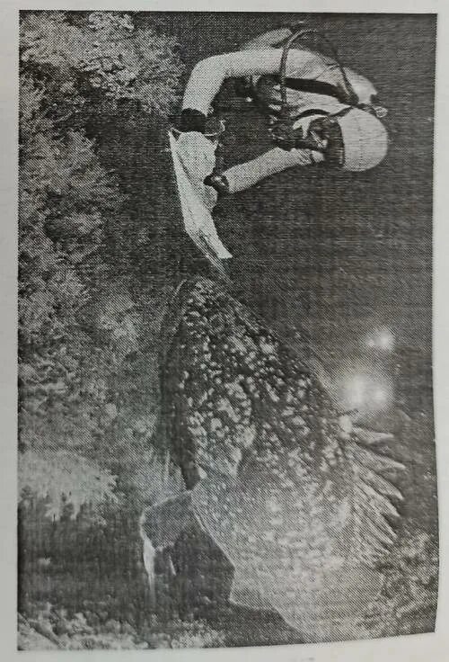 Как называют специалиста зоолога объектом изучения которого. Как называют специалиста зоолога объектом изучения. Как называют ученые метод. Зоологи тгу. Орнитолог 2) гельминтолог 3) герпетолог 4) энтомолог.