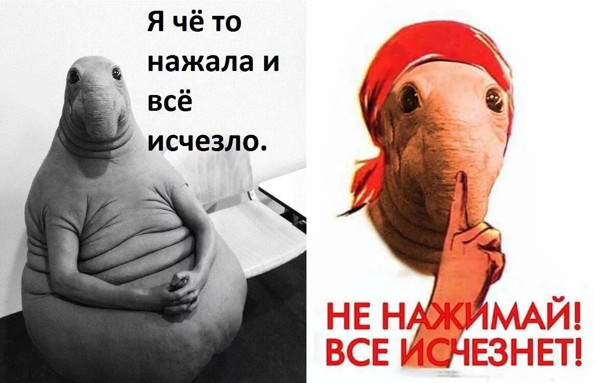 Нажимай ничего