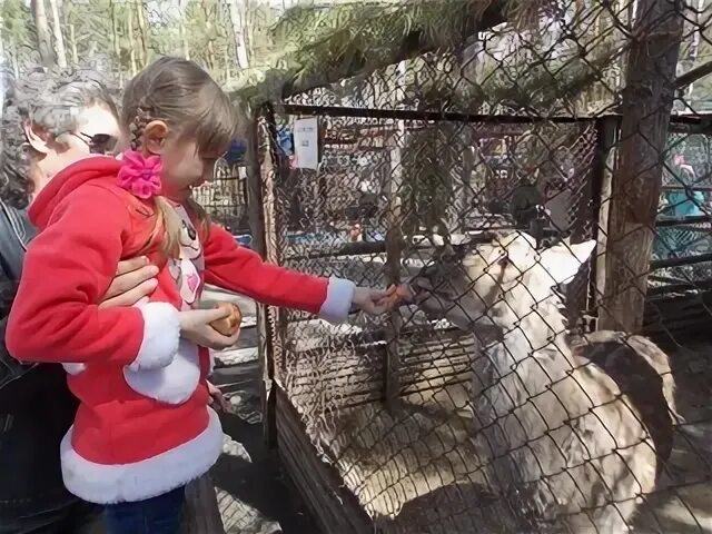 Республиканский центр экологического образования зоопарк. Экологические конкурсы Пермь. Фото Экоцентр зоопарк.