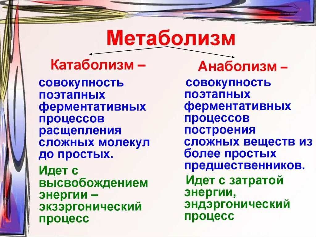 Атф анаболизма. Катаболизм 2) анаболизм. Процессы катаболизма и анаболизма. Понятие анаболизма и катаболизма. Понятия о метаболизме, катаболизме и анаболизме.