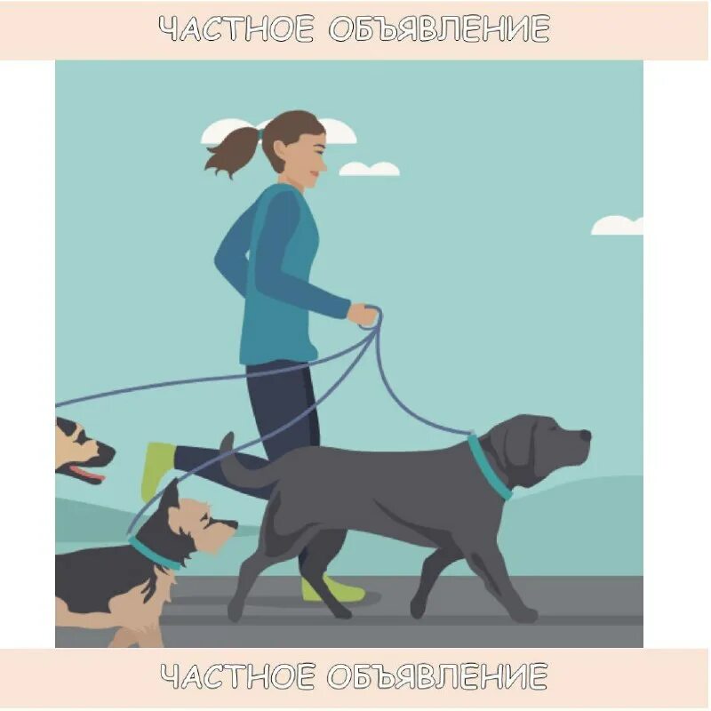 правила выгула собак в москве. памятка для владельцев собак.