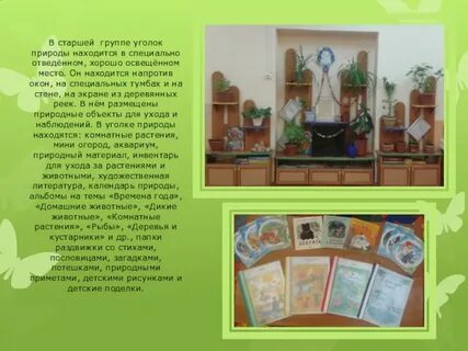 Уголок природы цель в подготовительной группе