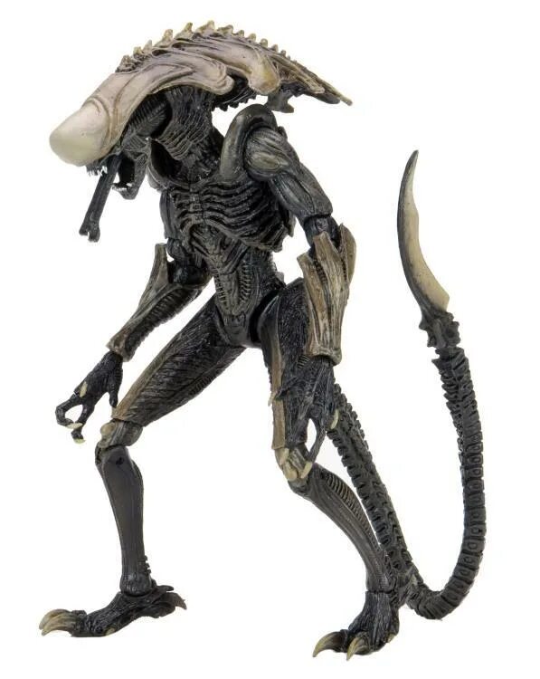 Takeya takayuki. Фигурка alien - xenomorph. Чужой фигурка. Neca фигурки alien big chap. Alien warrior фигурка.