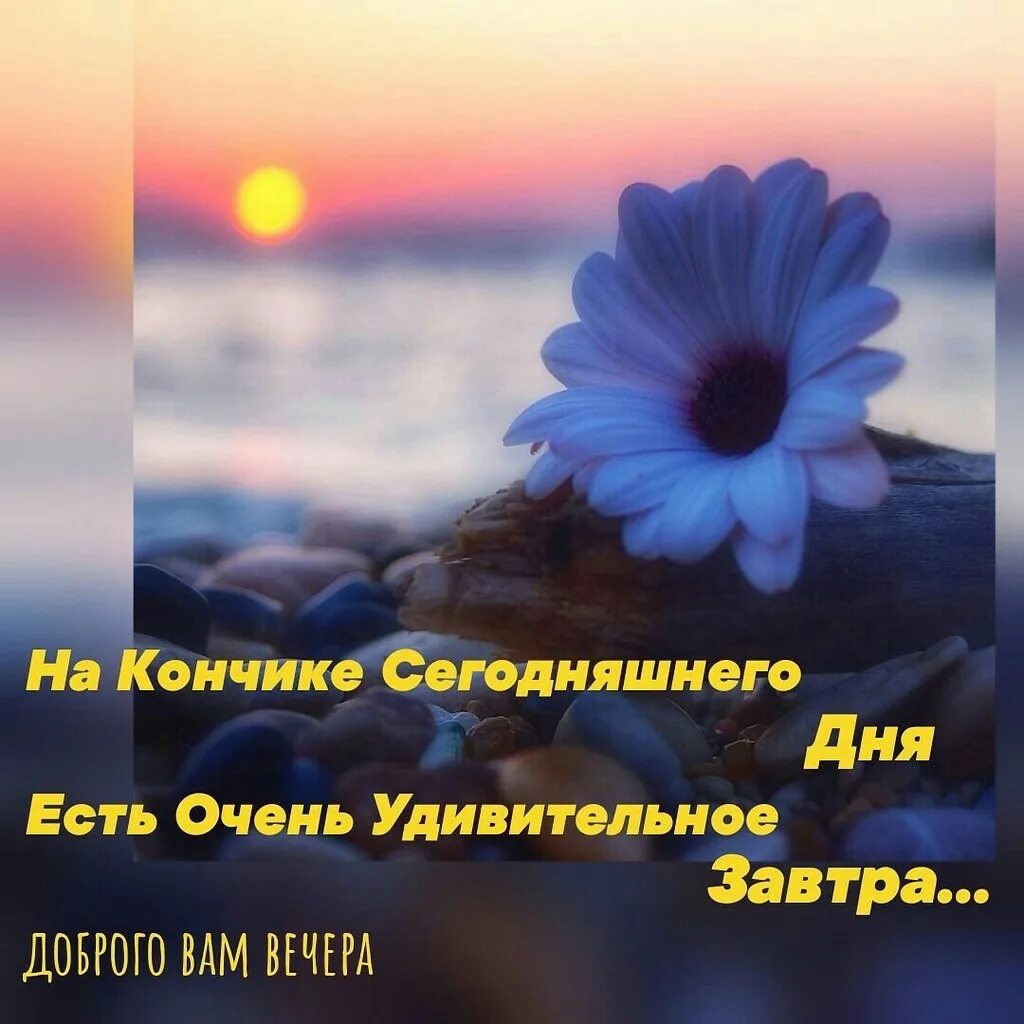 Доброго завтрашнего дня. Завтра новый день. завтра новый день цитаты. цитаты про сегодняшний день. на кончике сегодняшнего дня есть удивительное завтра.