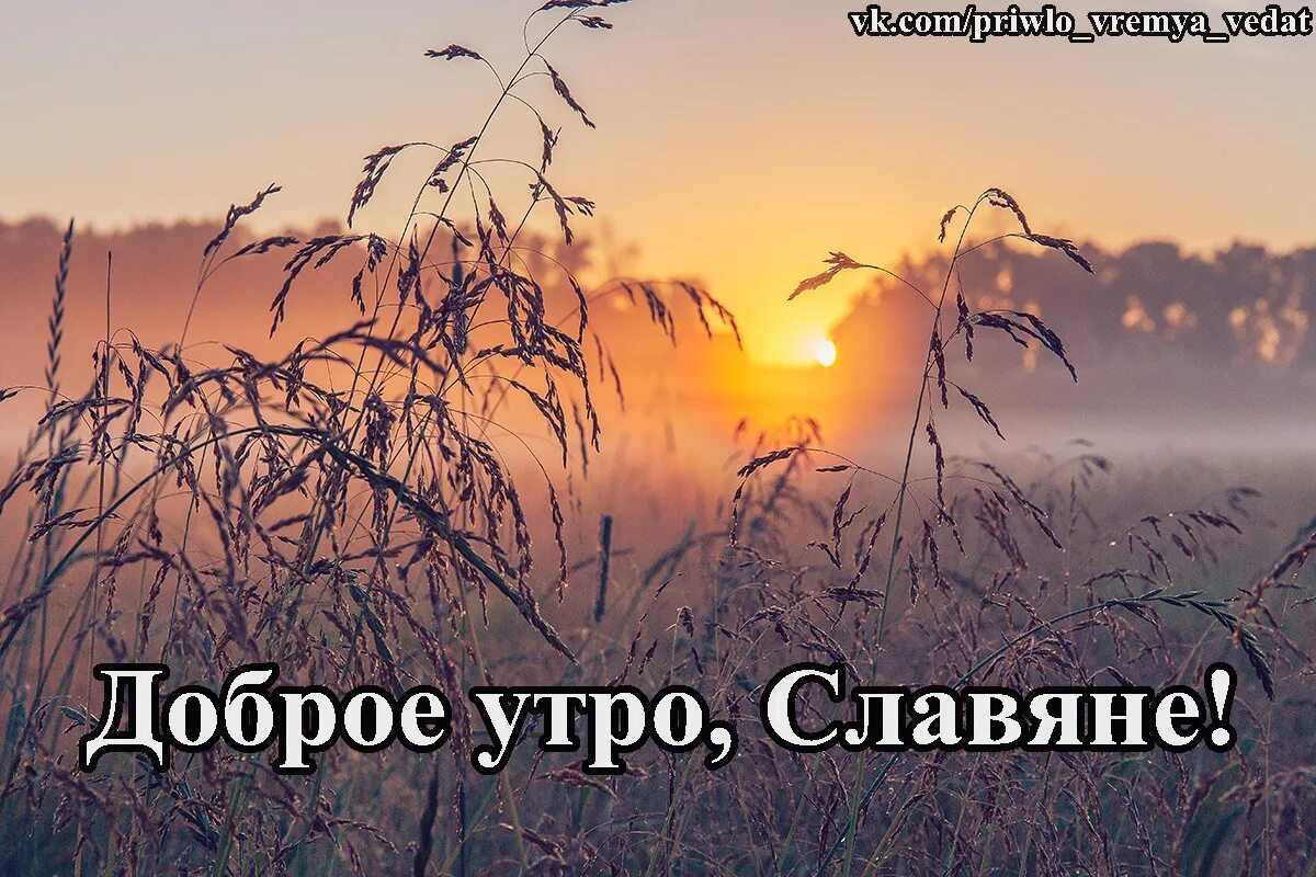 Утро славяне. Славянское утро. Открытки с добрым утром славяне. Доброе утро славяне